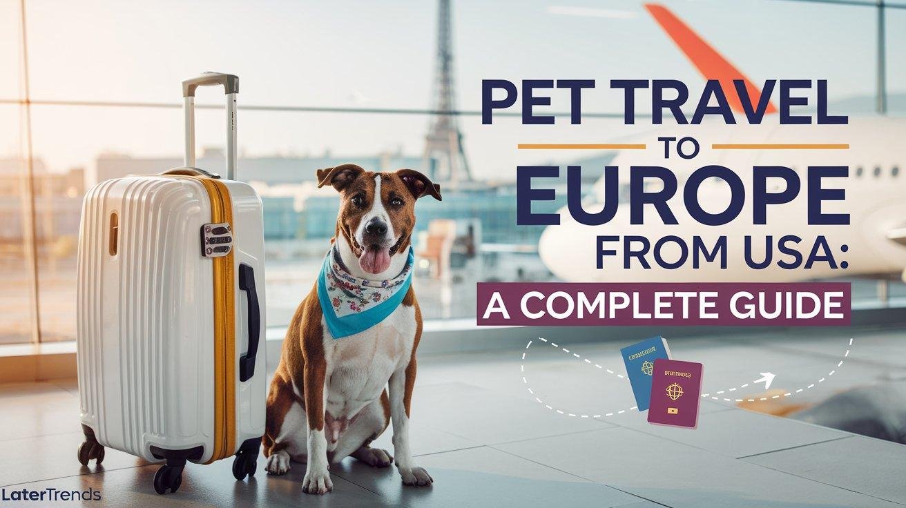 Pet Travel to Europe from USA