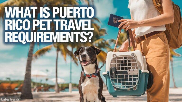 What is Puerto Rico Pet Travel Requirements