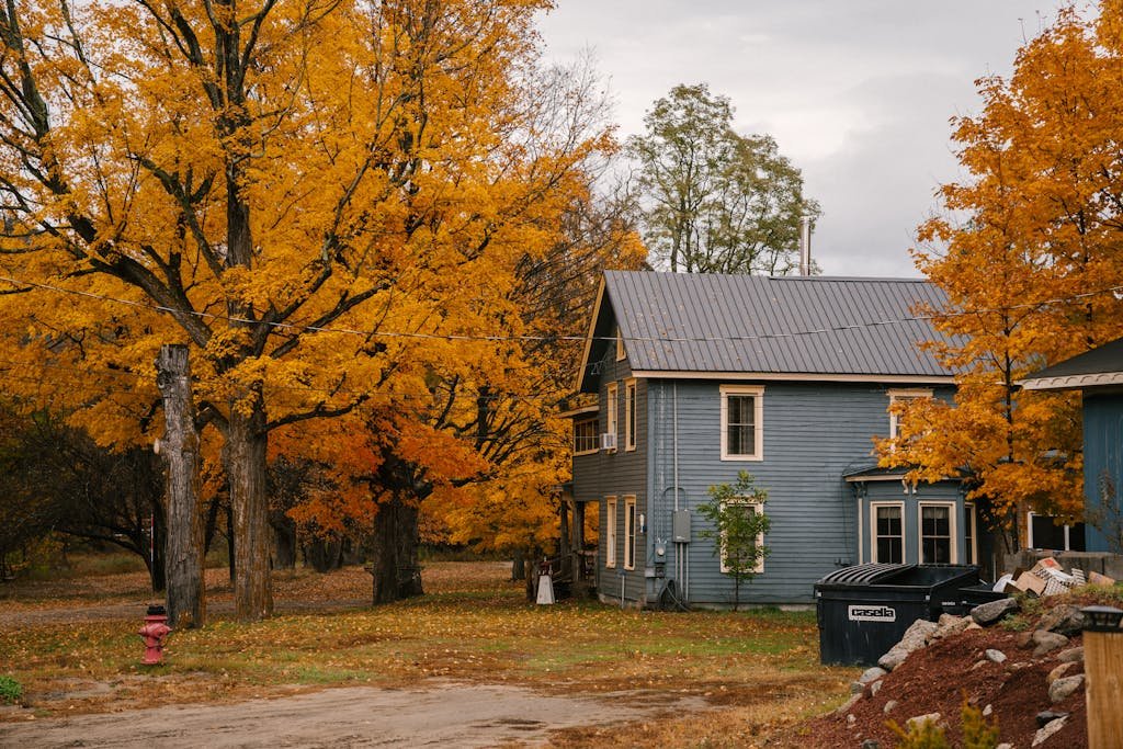 Fall: September To November