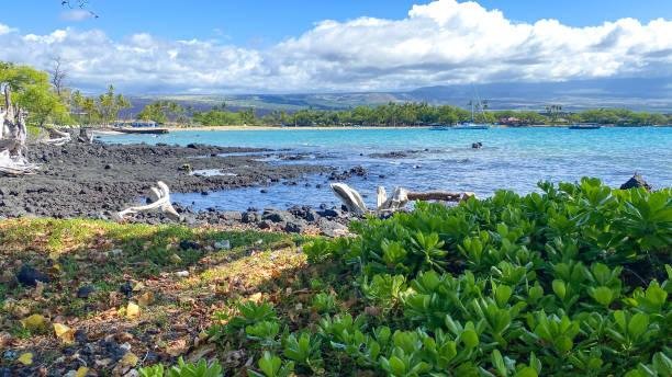 One Week Big Island Itinerary The 7-Day Guide to Hawaii's Big Island