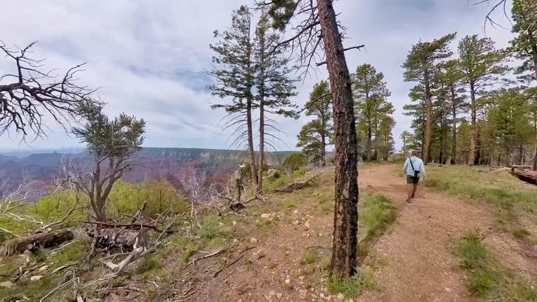 Hike on the Arnold Rim Trail