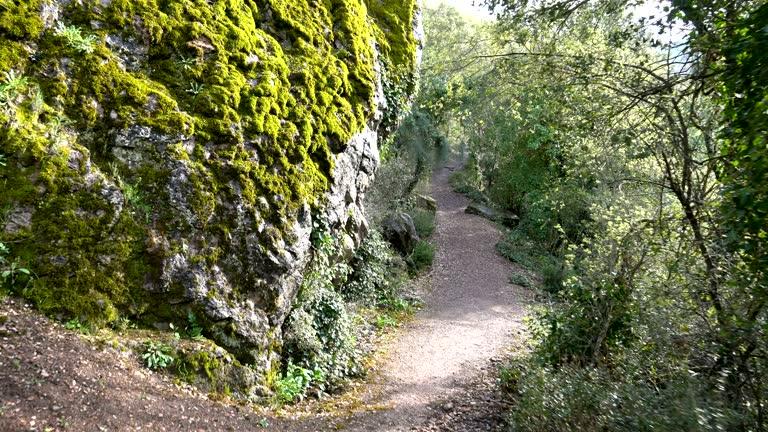 Gerard Hiking Trail The Crown Jewel