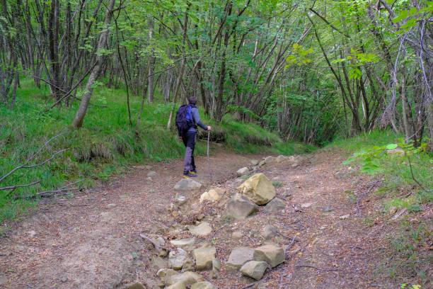 Hiking the Trails