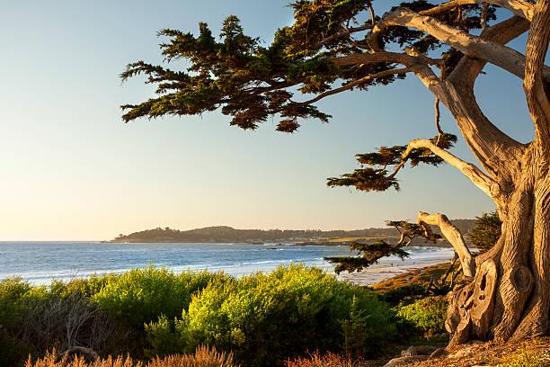 Monterey and Carmel-by-the-Sea