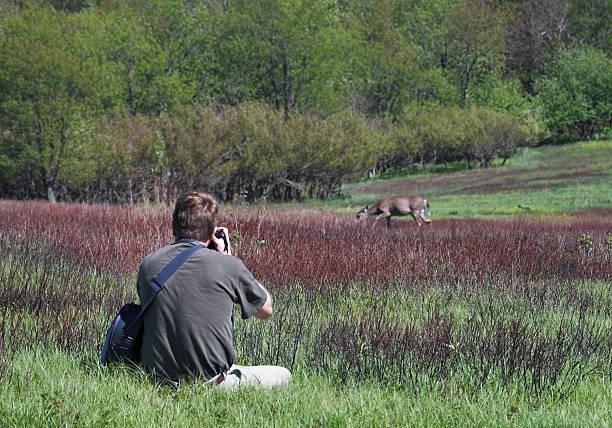 Wildlife Watching